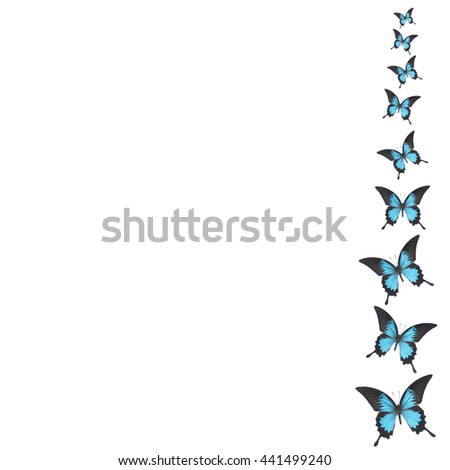 Beautiful Butterfly isolated on white background