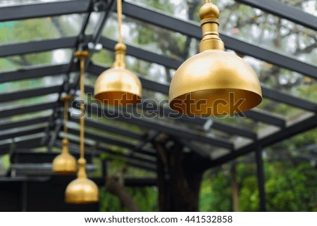 Light golden in greenhouse.