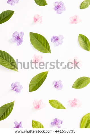 Pattern of flower and leaves isolated on white background. flat lay, overhead view, top view
