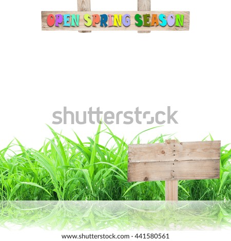 beautiful green grass with reflection  and open spring season wooden sign