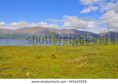 Mountain lake on the Putorana plateau. Water landscape, Siberia, Russia.