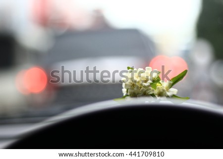 
Silhouette edge The aroma of white flowers  AND Bokeh on the road in the morning. In Thailand.Abstract blurred background : Traffic jam in the morning rush hour. in-Thailand.