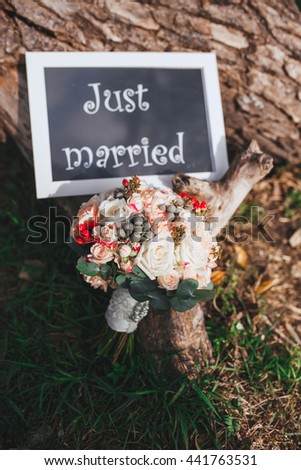 Honeymoon concept. Just married. A tree has a just married sign on it
