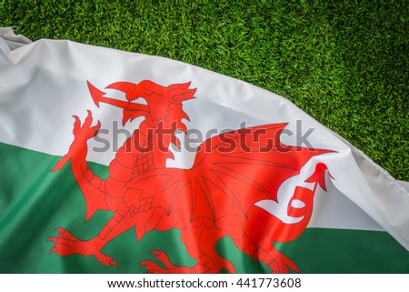 Flags of Wales on green grass