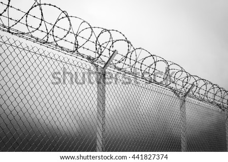 Barbed wire - restricted area, black and white Royalty-Free Stock Photo #441827374