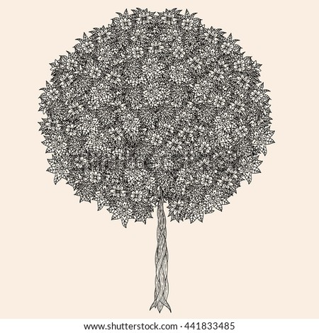 Forest tree. Detailed illustration. Vector artwork. Black, beige color