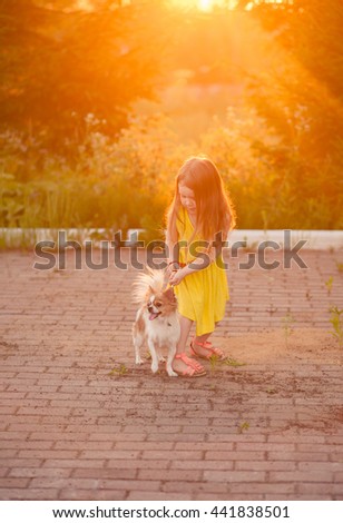 The little girl holding the leash of a small dog breed Chihuahua,outdoors,at sunset