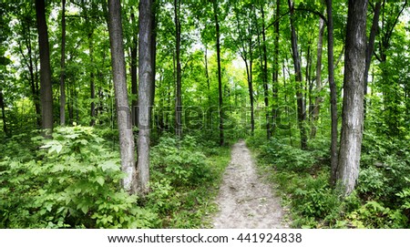 Limehouse Bruce trail Halton Hills Ontario woods path Royalty-Free Stock Photo #441924838