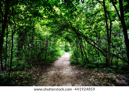 Limehouse Bruce trail Halton Hills Ontario woods path Royalty-Free Stock Photo #441924859