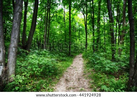 Limehouse Bruce trail Halton Hills Ontario woods path Royalty-Free Stock Photo #441924928