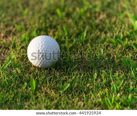 Close-up view of golf ball on the green grass. Golf ball on fairway of beautiful golf course at summer sunset. Success, competition and leisure, lifestyle concept.