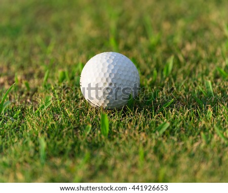 Close-up view of golf ball on the green grass. Golf ball on fairway of beautiful golf course at summer sunset. Success, competition and leisure, lifestyle concept.