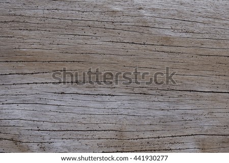 wood texture background,select focus with shallow depth of field:ideal use for background.