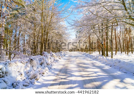 Road in winter , Japan