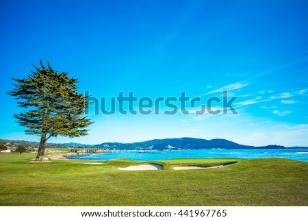 Pebble Beach Golf Course 18th Hole Green Royalty-Free Stock Photo #441967765