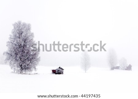Winter landscape with frosty trees and bushes