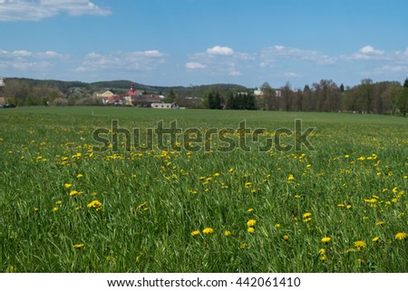 Grass field, Kokorinsko, Europe, Czech Republic