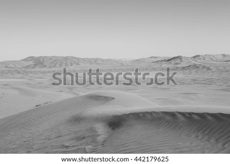 the empty quarter  and outdoor  sand  dune in Oman old desert rub al khali 
