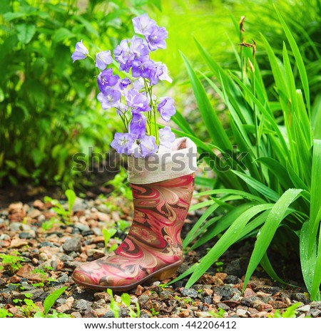 Rain boot in the garden after the rain with bell flowers in it