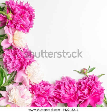 Floral greeting card or frame for greeting text. Template for Valentine's Day card with pink flowers peonies. 