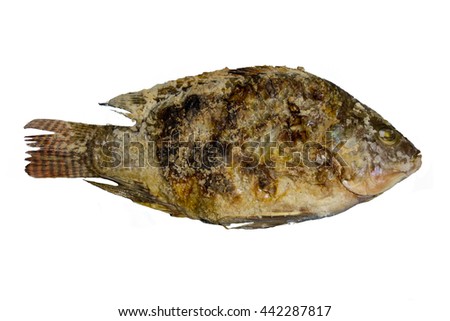 Salt-Crusted Grilled Fish, Horny being banged pussy, Grilled fish with salt isolate with white background