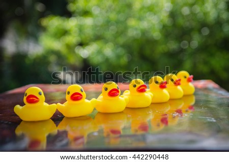 Duck dolls, toys for children, on a table made of wood and background bokeh tree. (Select focus)