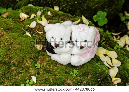 Couple of teddy bear sitting on stone with moss and falling rose
