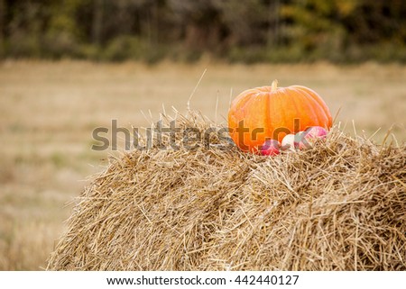 Pumpkin, fall, autumn,  background 