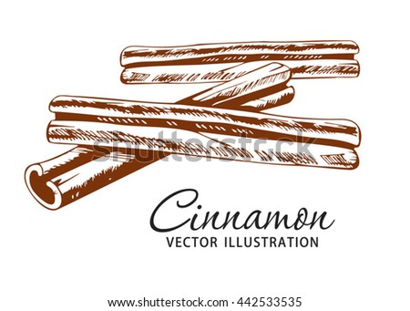 Cinnamon sticks, hand drawn vector illustration. Isolate on the white background.