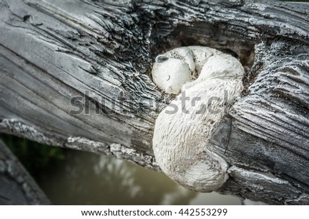 Sleeping squirrel inside tree hollow statue