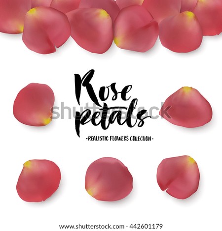 Realistic pink rose petals set. Five different objects, editable shadow on white background.
