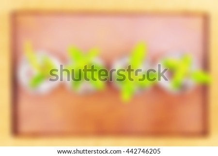  Blur focus Hot basil leaves  in four small glass on wood tray picture
