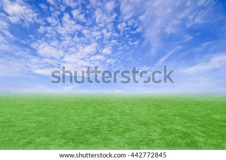 Field of green artificial grass in blue sky.