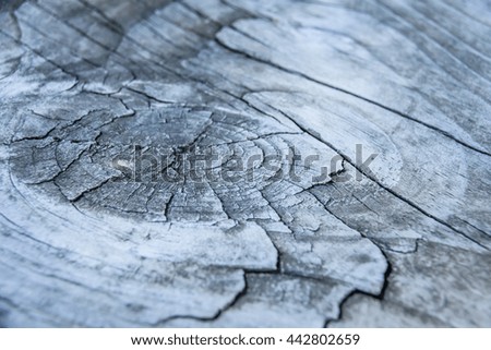 Close up old wood texture, background/out of focus