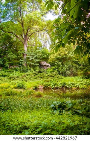 a small well-maintained pond among the deciduous forest and thickets of grass in summer. beautiful summer landscape