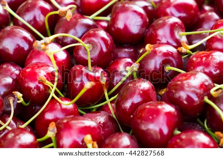 Large red cherry background. Berries of cherry. Beneficial dietary food. The gifts of nature vitamin. Delicious berries cherries with water droplets.