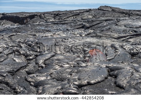 Lava flow in lava field, Hawaii volcanoes National Park