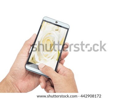 Hand male Asian holding Smartphone taking picture of beautiful flower