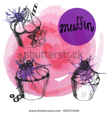 Vector illustration. Set. Sketch muffins on watercolor background. three objects . Elements for menu design. Pink.