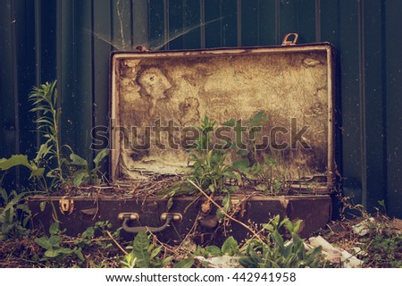 Old suitcase in the grass Royalty-Free Stock Photo #442941958