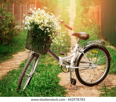 bicycle with a basket full of field flower 