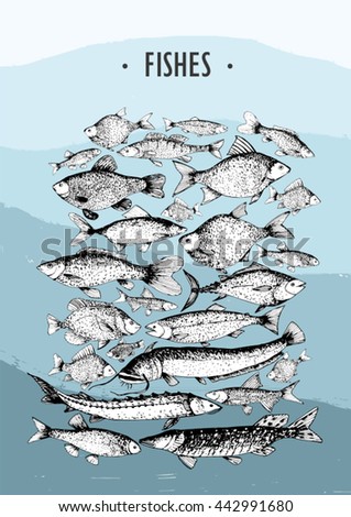 Fishes clip art Royalty-Free Stock Photo #442991680