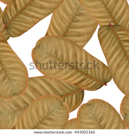 Seamlessly brown leafs background.