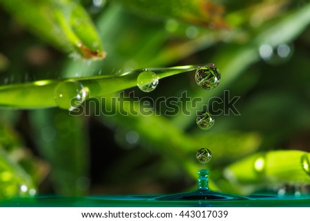 Dew drops from green leaves of grass nature background.