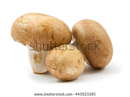 fresh champignons brown version isolated on white background