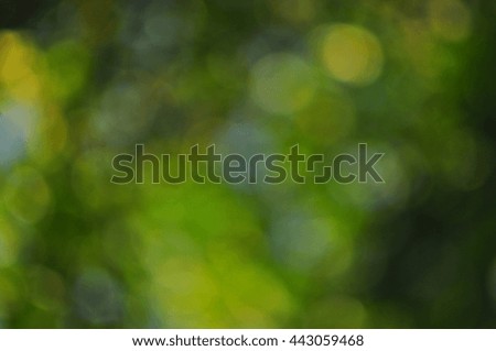 Background, texture, green, natural,banner, bokeh, shade, artist