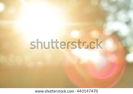 The glare of the sun, the sun's rays, through the branches,backg Royalty-Free Stock Photo #443147470