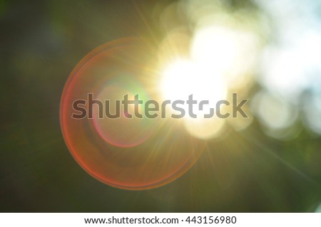 The glare of the sun, sunlight, sunset, through the branches,bac