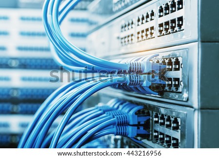 network cables connected in network switches  Royalty-Free Stock Photo #443216956