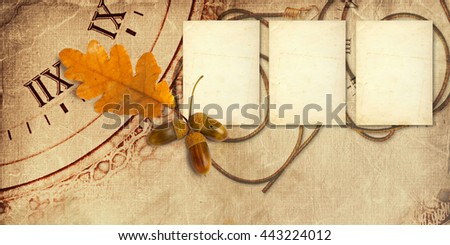 Old vintage album with autumn oak leaves and acorns